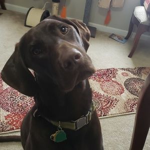 Meet your Posher, Mark